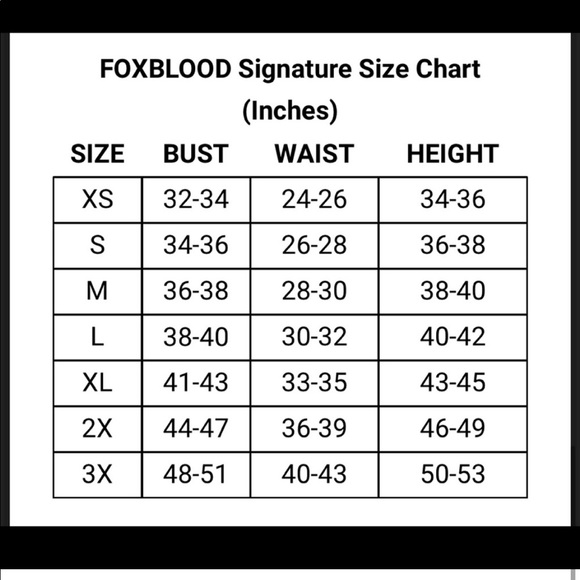 NEW IN BAG Foxblood Courtney Mesh Babydoll Dress - Large - Picture 6 of 10